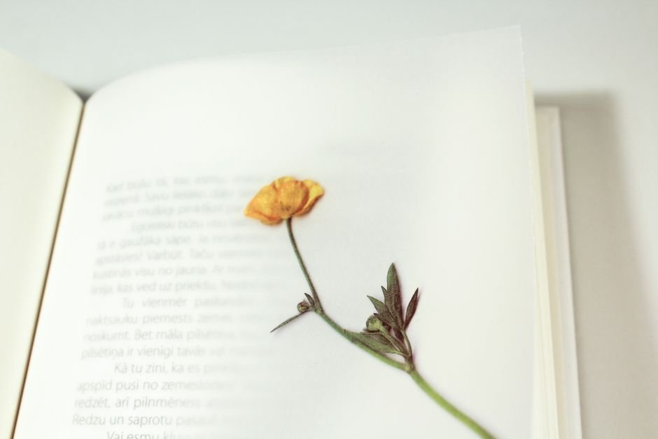 Marcador com flor prensada