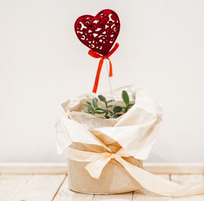 5. Adicione a tag personalizada