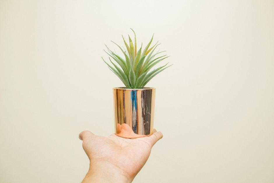 Mini terrário ou vasinho de suculenta com fita dourada