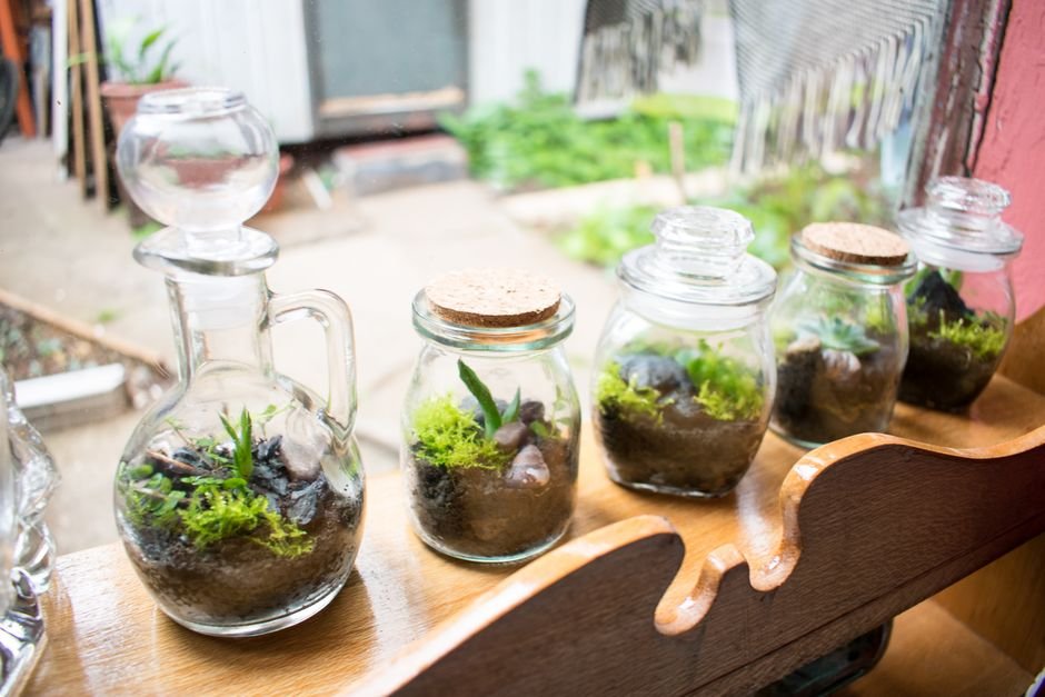 Ideias criativas de terrário