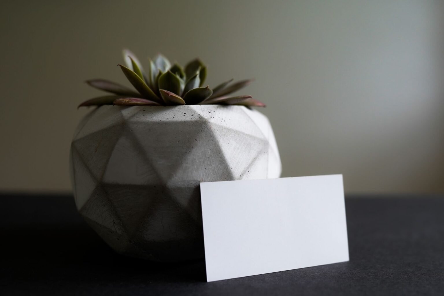Vaso de Cimento Decorativo: Tutorial Fácil Para Iniciantes