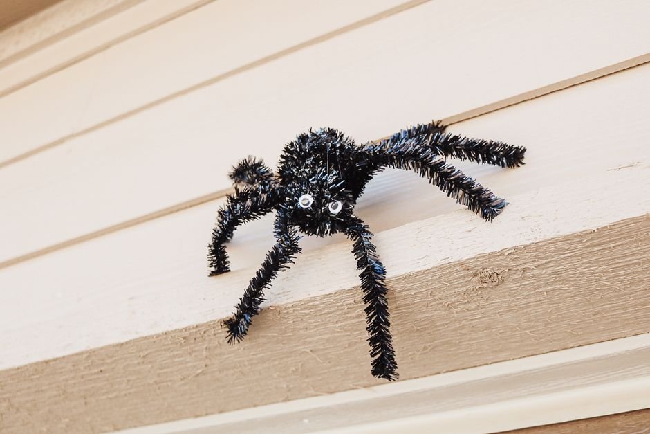 Aranha de pompom