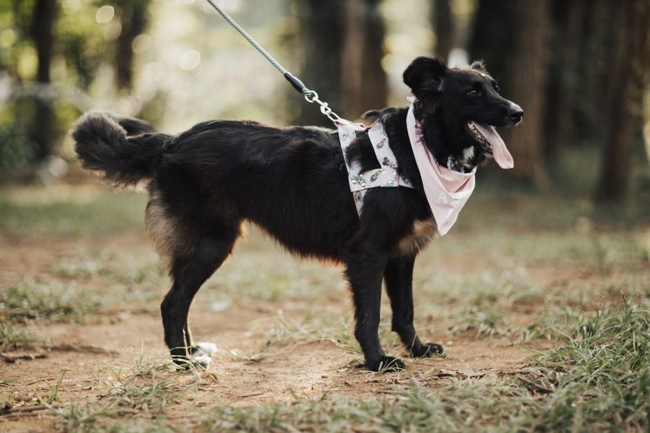 Bandana de Crochê para Passeios