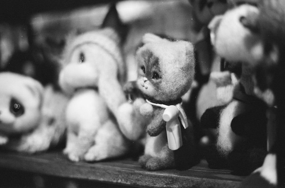 Mini bichinhos de estimação