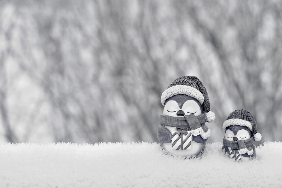 Pinguim com cachecol natalino