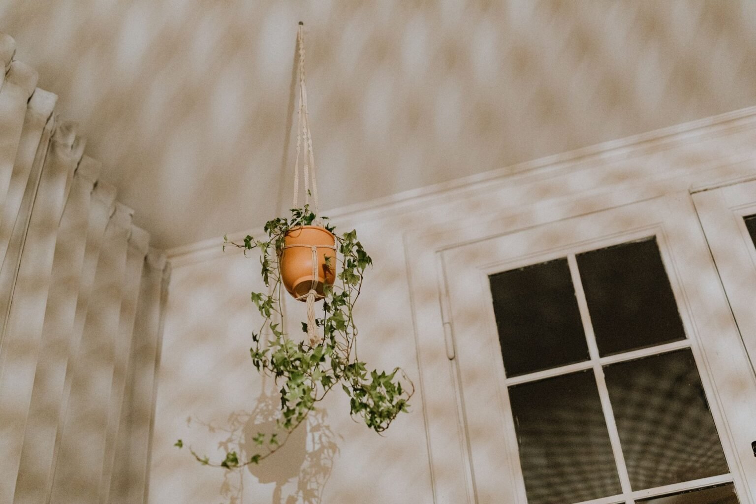 Porta-Vaso de Crochê: Como Fazer Passo a Passo Para Decorar Suas Plantas