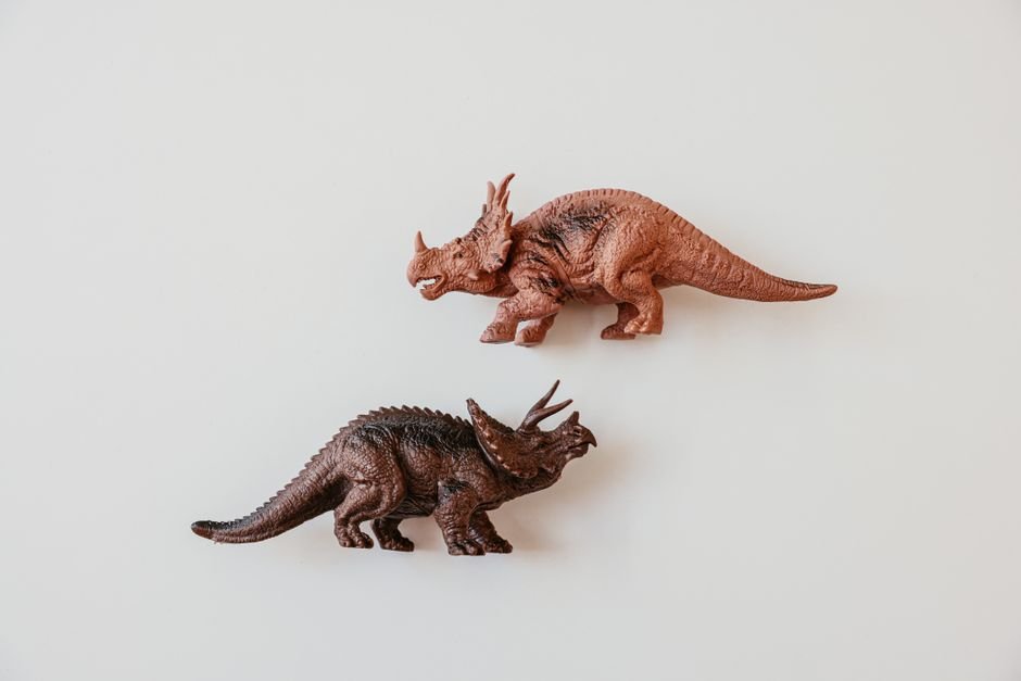 Triceratops com Chifres em Relevo